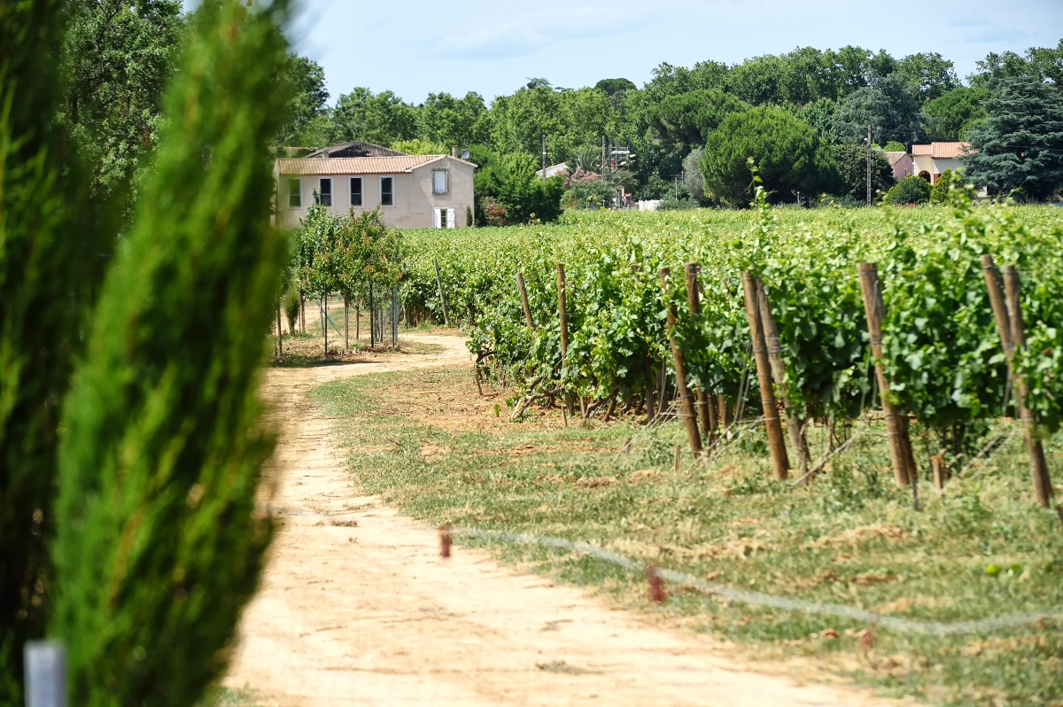 Domaine Enclos de la Croix