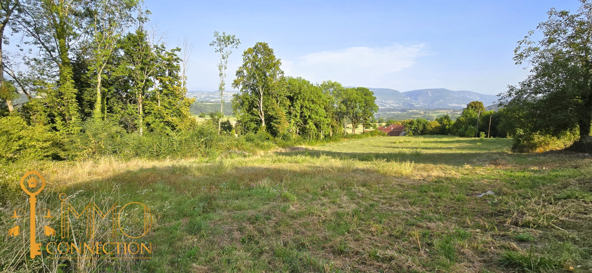 Terrain - 1078 m²